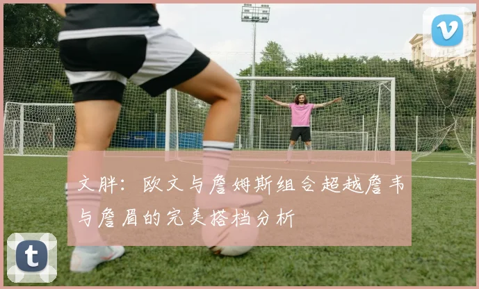 文胖：欧文与詹姆斯组合超越詹韦与詹眉的完美搭档分析